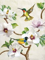 Magnolia and Birds Fine Art Print