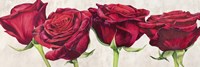Rose Romantiche Fine Art Print