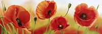 Poppies in the Wind Fine Art Print