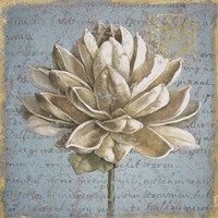 Seed Pod I Fine Art Print