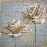 Seed Pod II Fine Art Print