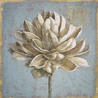 Seed Pod I no Words Fine Art Print