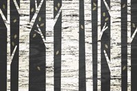 Birch Forest Fine Art Print