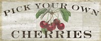 Farm Fresh Cherries Fine Art Print