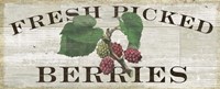 Farm Fresh Berries Fine Art Print