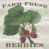 Farm Fresh Berries I Fine Art Print