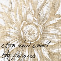 Metallic Floral Quote I Framed Print