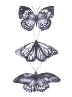 Monochrome Butterflies II Fine Art Print
