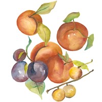 Harvest Medley I Fine Art Print