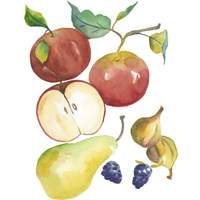 Harvest Medley II Fine Art Print