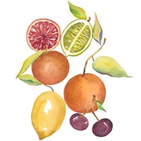 Harvest Medley III Fine Art Print