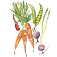 Harvest Medley IV Fine Art Print