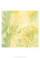 Florid Garden I Fine Art Print