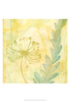 Florid Garden II Fine Art Print