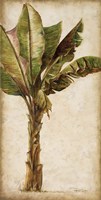Tropic Banana I Fine Art Print