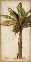 Tropic Banana II Fine Art Print