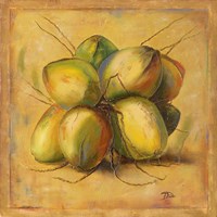 Cocos Locos I Fine Art Print