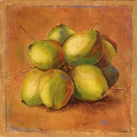 Cocos Locos II Fine Art Print