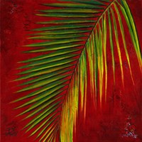 Palmas En Fuego III Fine Art Print