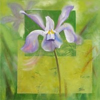 Cool Garden III Fine Art Print