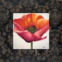 Poppy Flower I Fine Art Print