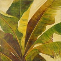 Uraba I Fine Art Print