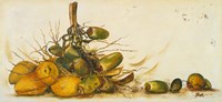 Racimo de Cocos III Fine Art Print