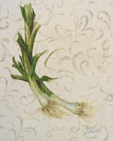 Botanica II Fine Art Print