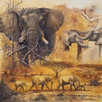Safari II Fine Art Print