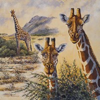 Safari IV Fine Art Print