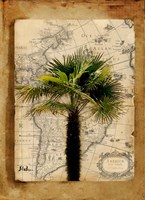 America II Fine Art Print