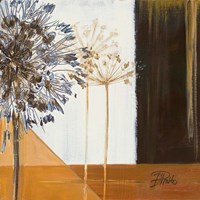 Make A Wish I Fine Art Print