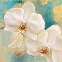 Spring into Summer I Fine Art Print