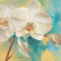 Spring into Summer II Fine Art Print