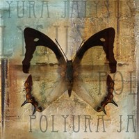 Polyurabutterfly I Fine Art Print