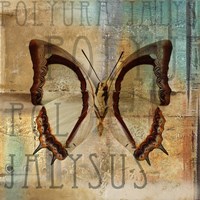 Polyurabutterfly II Fine Art Print