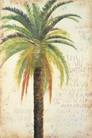 Palms & Scrolls II Fine Art Print