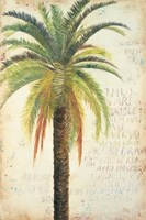 Palms & Scrolls II Framed Print