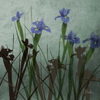 Blue Irises I Fine Art Print