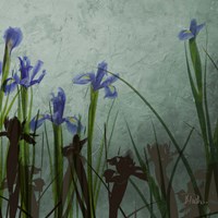 Blue Irises II Fine Art Print