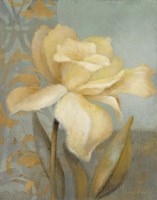 Teal Radiance I Fine Art Print