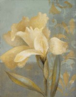 Teal Radiance II Fine Art Print