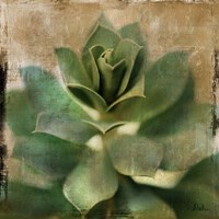 Succulent I Fine Art Print