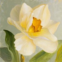 Daffodil Sky I Fine Art Print
