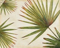 Organic I (Detail) Framed Print