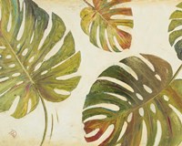 Organic II Framed Print