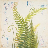 Nice Ferns I Fine Art Print