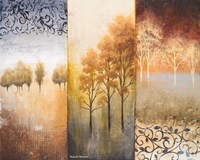 Lost in Trees II Fine Art Print