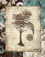 Secret Fern III Fine Art Print