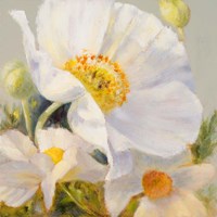 Sunbeam Flowers I Fine Art Print